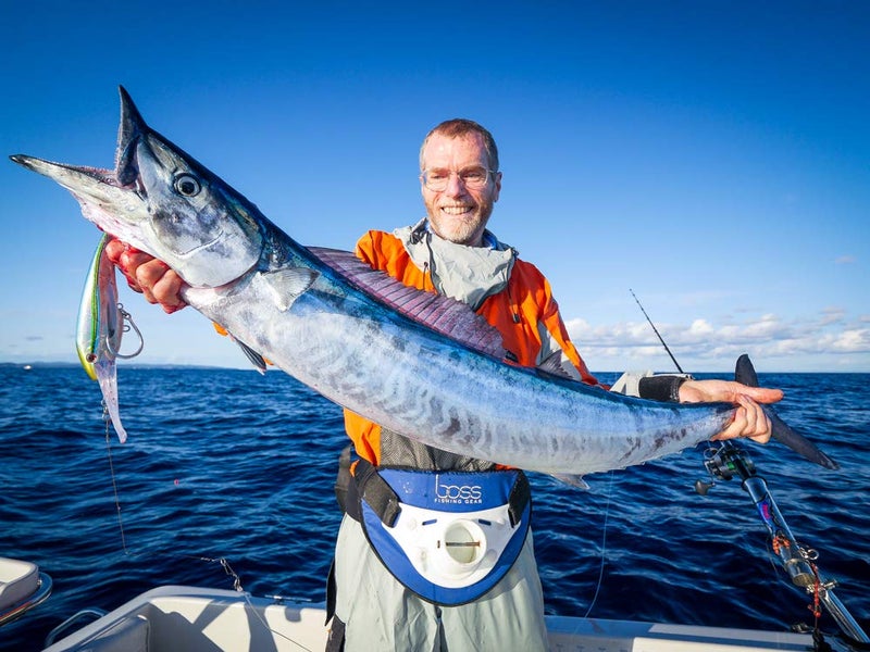 nomad design Nomad DTX Minnow Sinking - 165mm - 90g - Pink Mackerel - Image 5